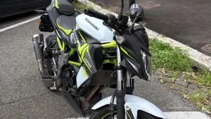 Kawasaki Z 125 (2021 - 24)  (3)