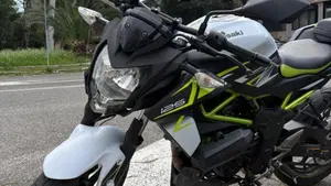 Kawasaki Z 125 (2021 - 24)  (4)