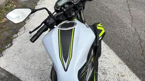 Kawasaki Z 125 (2021 - 24)  (9)
