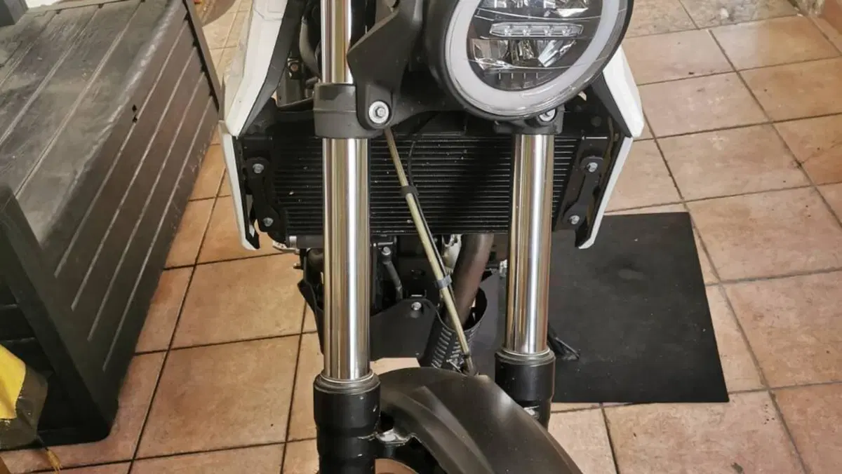 Betamotor Alp 4.0 (2024 - 26)  (7)