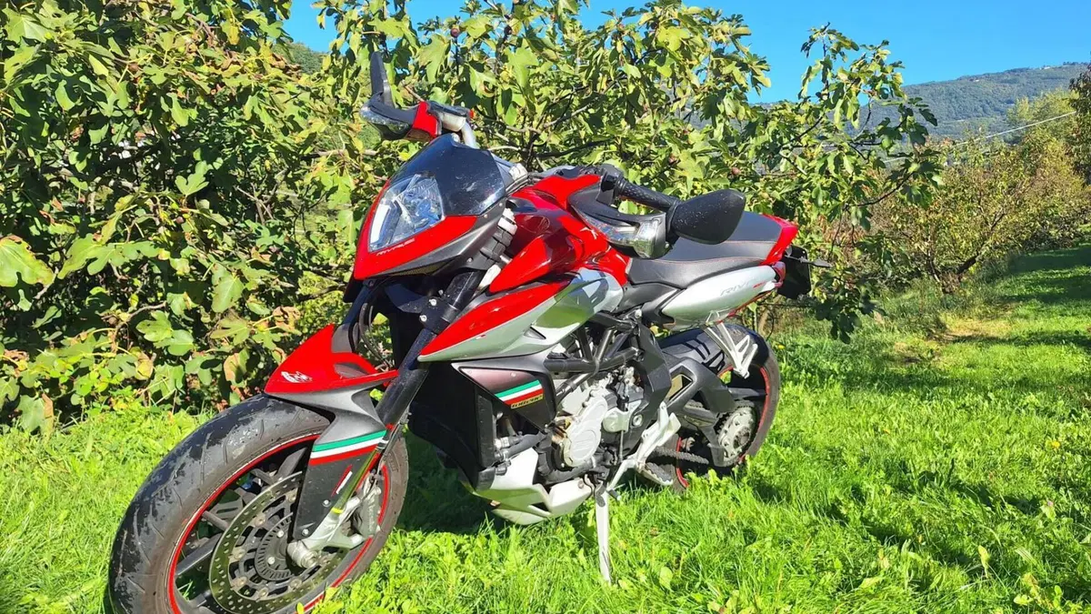 MV Agusta Rivale 800 EAS ABS (2013 -17)  (2)