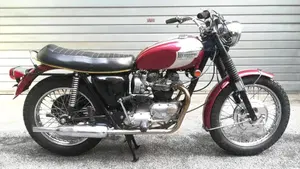 Triumph   (4)