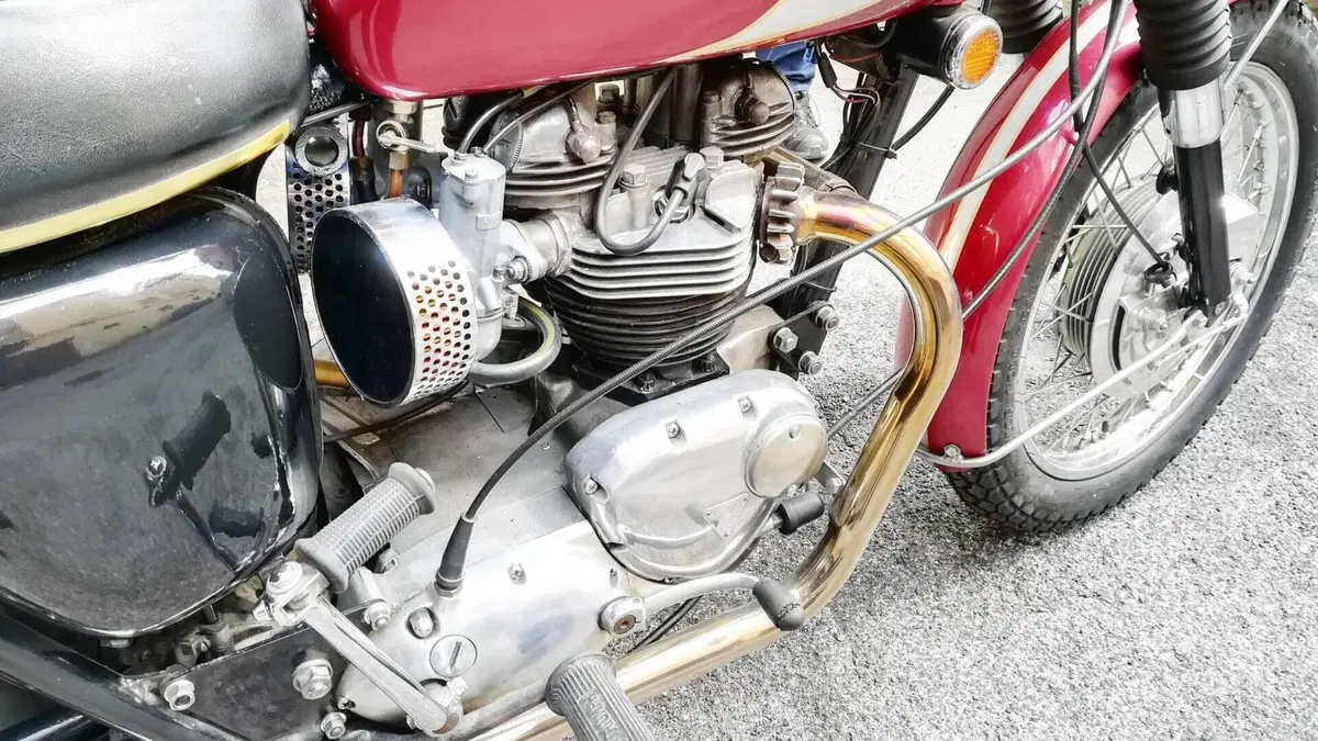Triumph   (5)