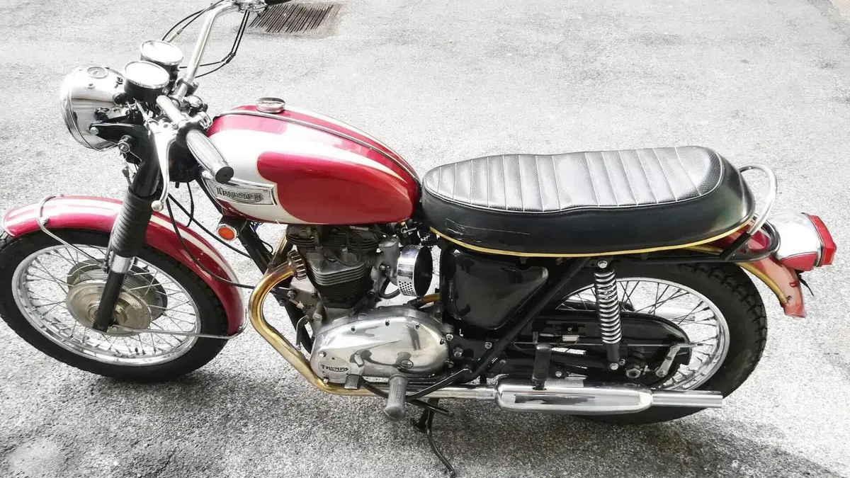 Triumph   (6)
