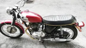 Triumph   (6)