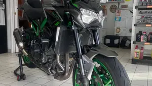 Kawasaki Z 900 (2021 - 24)  (11)