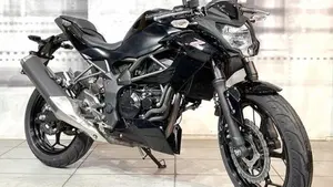 Kawasaki Z 250 SL ABS (2015 - 16) 