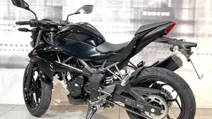 Kawasaki Z 250 SL ABS (2015 - 16)  (2)