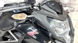 Kawasaki Z 250 SL ABS (2015 - 16)  (4)
