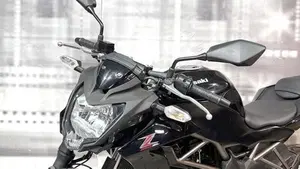 Kawasaki Z 250 SL ABS (2015 - 16)  (5)