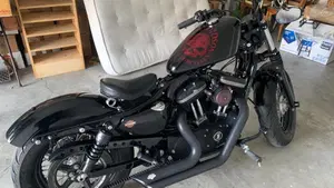 Harley-Davidson 1200 Forty-Eight (2010 - 15)  (2)