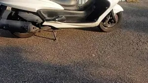 Yamaha Majesty 400 (2004 - 08)  (8)