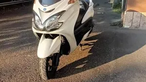 Yamaha Majesty 400 (2004 - 08)  (5)