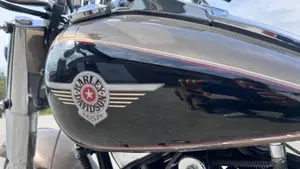 Harley-Davidson 1450 Fat Boy (2003 - 06) - FLSTFI  (2)