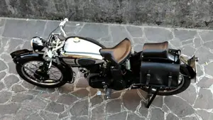 Norton  