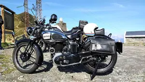 Norton   (6)
