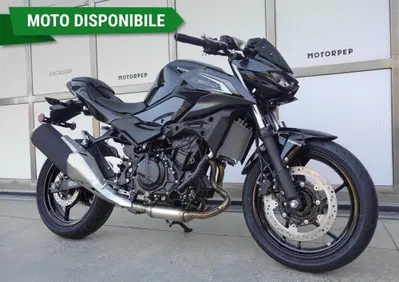 Kawasaki Z 500 (2024 - 26) - Annuncio 9990240