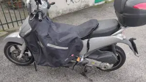 Aprilia Scarabeo 250 (2006 - 11)  (3)