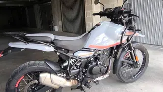 Royal Enfield Himalayan 450 (2024 - 26) usata