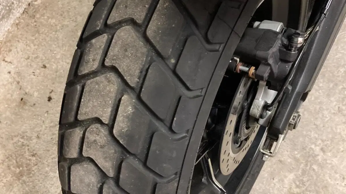 Ducati Scrambler 1100 Sport (2018 - 20)  (4)