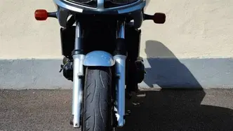 Yamaha FZS 600 Fazer (2002 - 03) usata