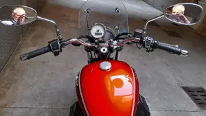 Moto Guzzi V9 Roamer (2016 - 18)  (8)