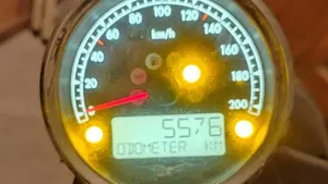 Moto Guzzi V7 III Stone (2017 - 20)  (7)