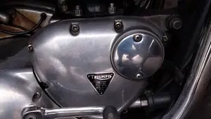 Triumph   (7)
