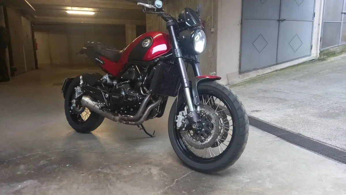 Benelli Leoncino 500 Trail ABS (2017 - 20)  (8)