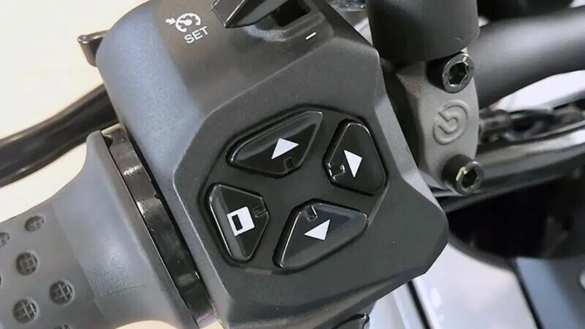 Moto Guzzi V100 Mandello S (2022 - 24)  (2)