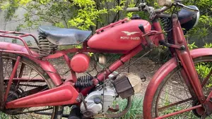 Moto Guzzi   (6)