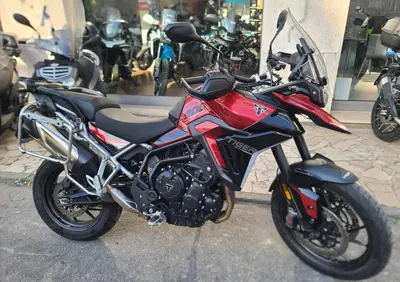 Triumph Tiger 900 GT (2024 - 26) - Annuncio 9991150