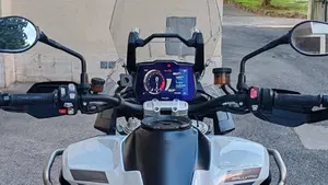 Triumph Tiger 1200 Rally Pro (2022 - 23)  (6)