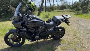 Harley-Davidson Pan America 1250 Special (2020 - 25)  (3)