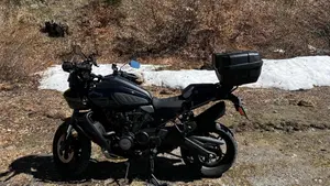 Harley-Davidson Pan America 1250 Special (2020 - 25)  (6)