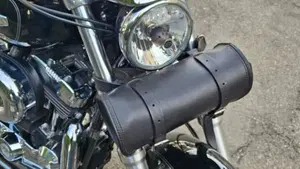 Harley-Davidson 1200 Custom (2007 - 13) - XL 1200C  (10)