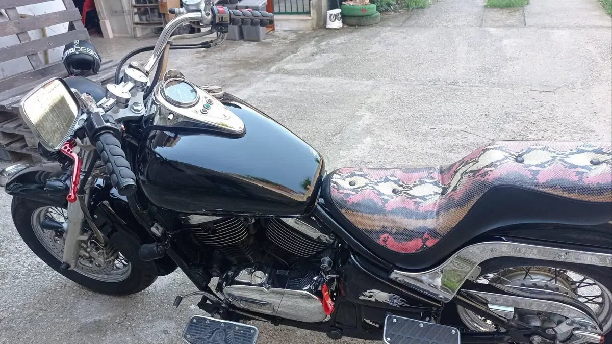 Kawasaki VN 800 Classic (1996 - 00)  (12)
