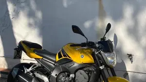 Yamaha FZ1 (2006 - 16) 