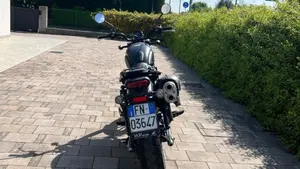 Honda CL500 (2025 - 26)  (2)