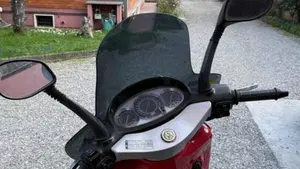 Aprilia Leonardo 250 (1999 -02)  (6)
