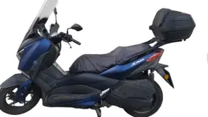 Yamaha X-Max 300 ABS (2017 - 20) 