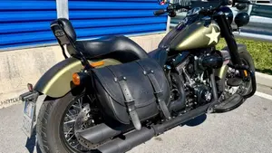 Harley-Davidson 1800 Slim S (2015 - 17) - FLS  (6)