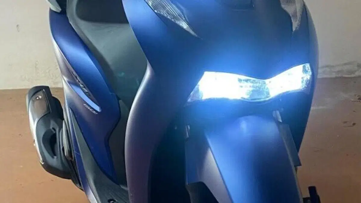 Honda SH 150i (2024 - 25) 