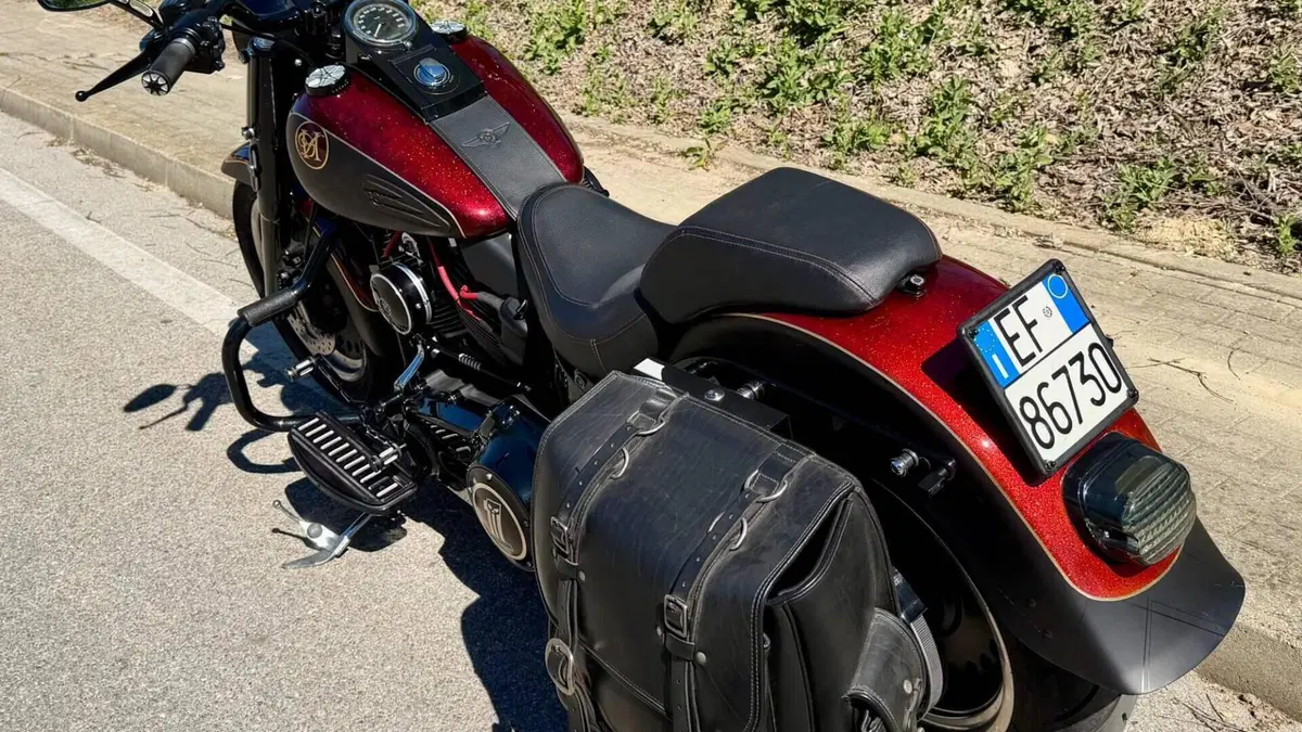 Harley-Davidson 1800 Fat Boy S (2015 - 17) - FLSTFS  (4)