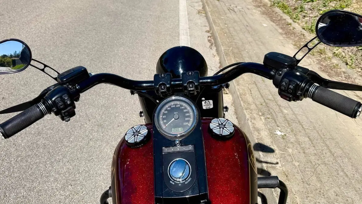 Harley-Davidson 1800 Fat Boy S (2015 - 17) - FLSTFS  (6)
