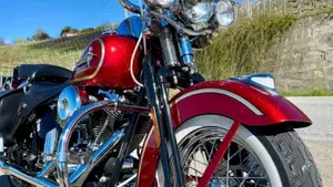 Harley-Davidson 1450 Springer Classic (2005) - FLSTSCI  (2)