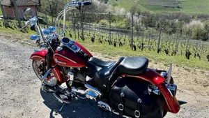 Harley-Davidson 1450 Springer Classic (2005) - FLSTSCI  (6)