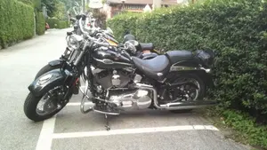 Harley-Davidson 1450 Springer Classic (2005) - FLSTSCI  (7)