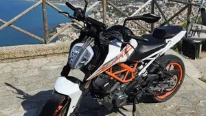 KTM 390 Duke ABS (2017 - 20)  (6)