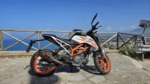 KTM 390 Duke ABS (2017 - 20)  (2)